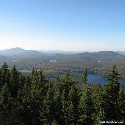 Heidi Asbjornsen: How Forest Evapotranspiration May Be Affected by Climate Change