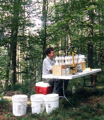 Scott Bailey: Nutrient vs. Toxic Elements in Forest Soils and Their Impact on Forest Health