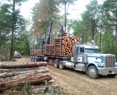 Jeffrey Benjamin: Assessment of the Northern Forest’s Logging Industry Health