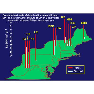 John Campbell: Inputs and Outputs of Nitrogen on Forested Watersheds in the Northeastern U.S.