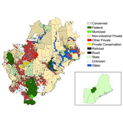 David Capen: Ecological Reserves and a Sustainable Forest Economy Can Work Together in the Northern Forest