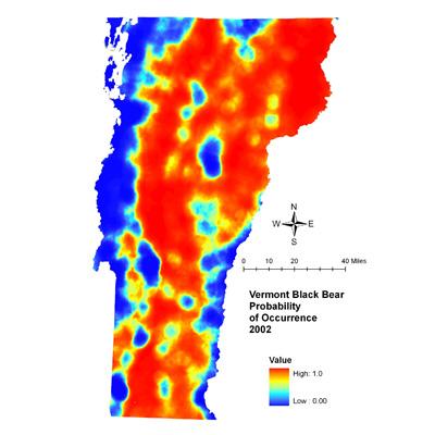 Therese Donovan: Predicting Impacts of Housing Density Changes on Black Bear Occurrence