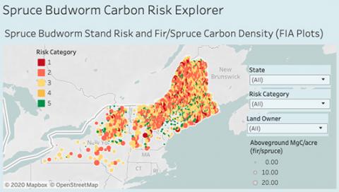 Mark Ducey and John Gunn: Carbon stock risk map of the Northeast