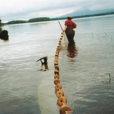 David Evers: Understanding How Lake Water and Nutrient Levels Affect Mercury Levels in Aquatic Organisms