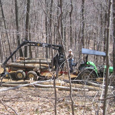 Joshua Farley: Redefining a "Productive" Forest Based on Ecological, Social, and Economic Uses