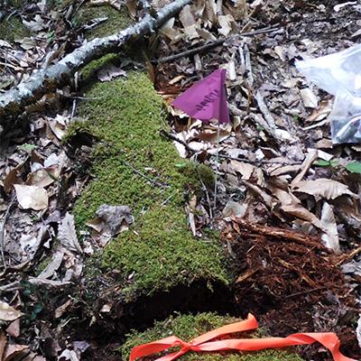 Moss covered log on forest floor with research supplies