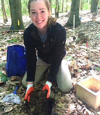 Serita Frey: Reduced Soil Manganese Limits Forest Floor Litter Decomposition by Fungi