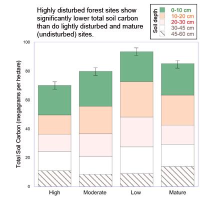 Andrew Friedland: Carbon Impacts of Switching from Oil to Wood Fuel across the Northern Forest