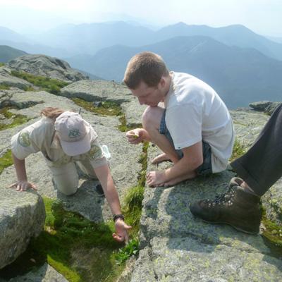 Julia Goren: Photo Analysis to Track Changes in Adirondack Alpine Vegetation Over Time