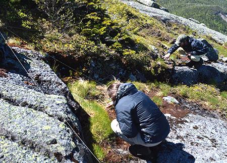 Julia Goren: Shifts in Alpine Plant Populations as Indicators of Climate Change