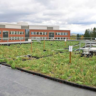 Gary Hawley: Green Roof Reduces Stormwater Discharge and Mediates Temperatures in Northern Forest Region