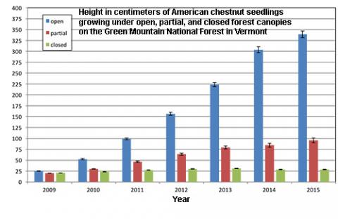 Gary Hawley: Despite Some Winter Injury American Chestnut Shows Growth Potential for Restoration in the North