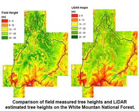 Coeli Hoover: LiDAR Data Describe Northern Forest Structure and Habitat But Not Biomass