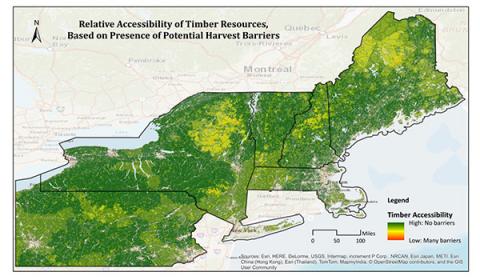 Jennifer Hushaw: Wood Resource Availability in the Northeastern United States