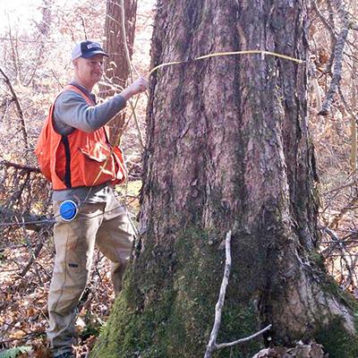 William Keeton: Evaluating Supply and Demand of Northern Forest Branded Carbon Credits