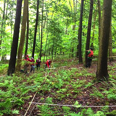 William Keeton: Recovering Second Growth Northeastern Forests Achieve High Level of Carbon Storage