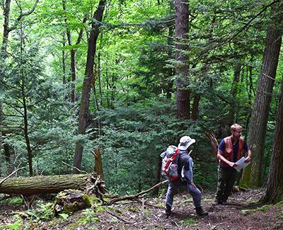 William Keeton: Forest Ecosystem Management Demonstration Project: Carbon and Methane Responses One Decade Later