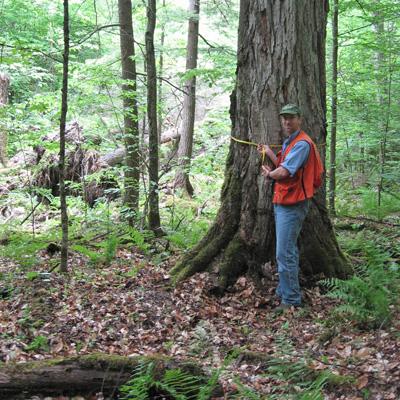 William Keeton: Demonstration of Sustainable Forest Management Alternatives