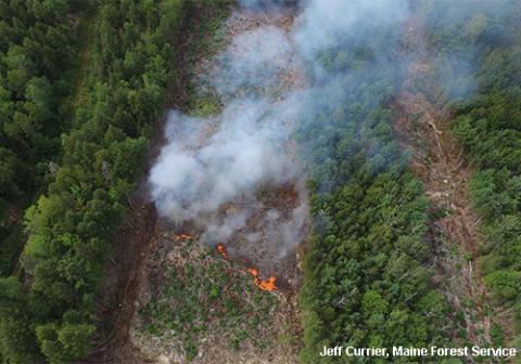 Aerial view of forest with strip patches of harvesting and a fire burning