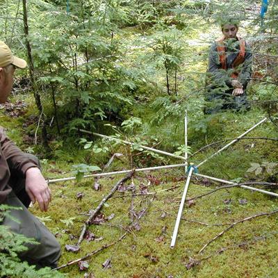 Laura Kenefic: Relationships between Nonnative Invasive Plant Distribution and Land Use History