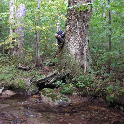 Clifford Kraft: Estimating Wood Volume in Northern Forest Streams