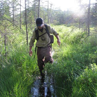 Stephen Langdon: Collection of Baseline Data to Promote Research at Remote Adirondack Preserve