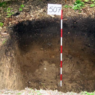 Gregory Lawrence: Repeated Forest Soil Sampling Helps to Monitor Changes in Soil Chemistry