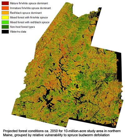 Kasey Legaard: Impacts of Spruce Budworm and Forest Management on Future Wood Supply