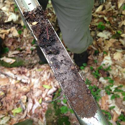 Gary Lovett: soil probe holding forest soil sample
