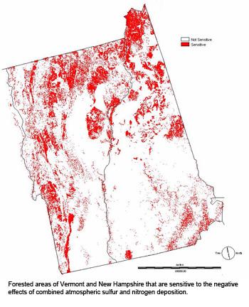 Eric Miller: Mapping Forest Sensitivity to Sulfur and Nitrogen Deposition in Northeastern North America