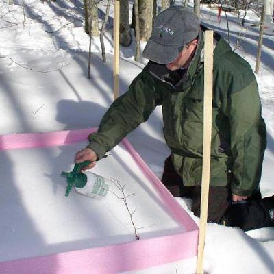 Myron Mitchell: Nitrate and Sulfate Associated with Snowmelt and Storm Events on Forested Watersheds