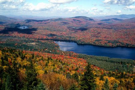 Myron Mitchell: Response of Stream Water Chemistry to Climate Variability in the Northeastern U.S. and Southeastern Canada