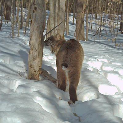 James Murdoch: Views Toward Wildlife and Involvement in Recreation Influence Public Acceptability of Development