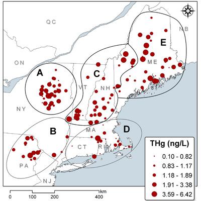 Sarah Nelson: Predicting Mercury Levels in Lakes Using Landscape Features and Water Chemistry