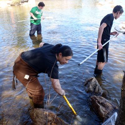 Sarah J. Nelson: Using Dragonflies as Bio-Sentinels of Mercury in Northeast Lakes