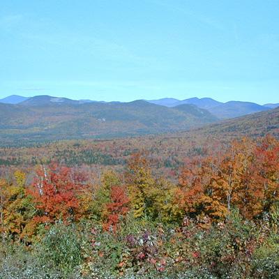 Scott Ollinger: Effects of Future Changes in Climate and Carbon Dioxide on Northeastern Forest Ecosystems