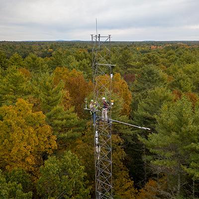 Ollinger: Two people on metal tower above tops of trees in forest