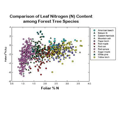 Linda Pardo: Measuring an Isotope of Nitrogen in Forest Foliage to Understand Effects of Nitrogen Deposition 