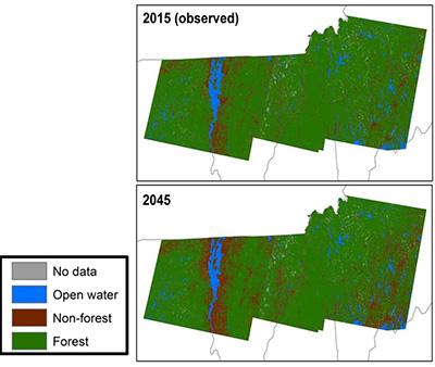 Jennifer Pontius: Impacts and Future Projections From 30 Years of Forest Conversion in the Northeast