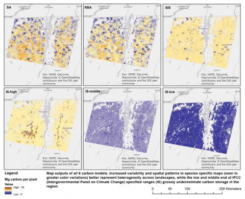 Jennifer Pontius: Improving Estimates of Carbon Storage in Northeastern Forests