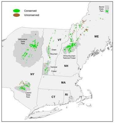 David Publicover: Assessing Ecological Value and Conservation Priority of High-Elevation Spruce-Fir Forest