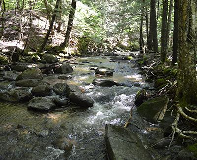 Donald Ross: Phosphorus Contributions from Forested Watersheds in Vermont