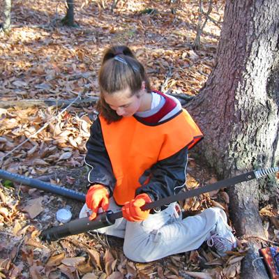 Lindsey Rustad: Forest Ecosystem Response to Experimentally Elevated Nitrogen Deposition: An International Synthesis