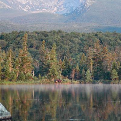 Lindsey Rustad: Changing Climate, Changing Forests: Impacts of Climate Change on Forests of the Northeastern United States and Eastern Canada