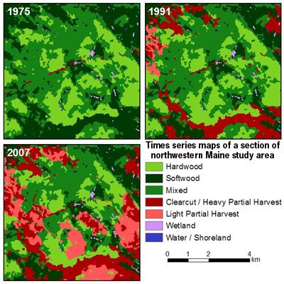 Steven Sader: Monitoring Forest Sustainability across Large Landscapes
