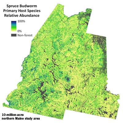 Steven Sader: Using Satellite Imagery to Map Forest Vulnerability to Spruce Budworm Outbreaks