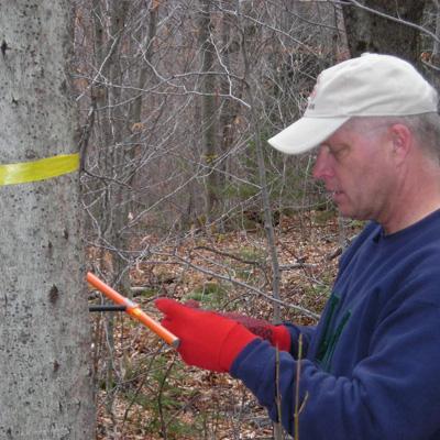 Paul Schaberg: Calcium Deficiency as a Limitation to Tree Growth and Carbon Storage in the Northern Forest