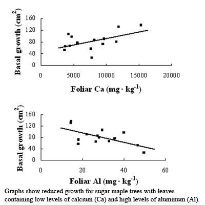 Donald DeHayes: Calcium Deficiency Implicated in Sugar Maple Decline