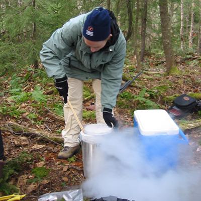 Paul Schaberg: Soil Calcium Depletion Predisposes Red Spruce to Winter Injury