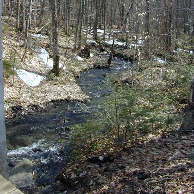 Stephen Sebestyen: Detecting Atmospheric Nitrogen Inputs to Stream and Soil Waters in the Northeastern United States